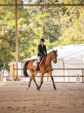 IMG_8059 IMG_8059