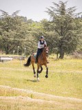 IMG_9455 IMG_9455