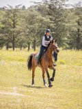 IMG_9456 IMG_9456