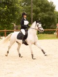 DSC05484 DSC05484