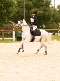 DSC05488 DSC05488