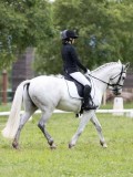 IMG_0689 IMG_0689