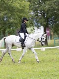 IMG_0690 IMG_0690