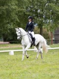 IMG_0691 IMG_0691