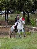 IMG_3098 IMG_3098