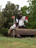 IMG_3100 IMG_3100