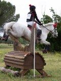 IMG_3105 IMG_3105