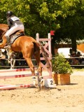 DSC00066 DSC00066