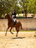DSC00067 DSC00067