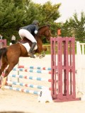 DSC06973 DSC06973