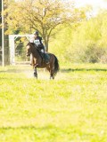DSC00149 DSC00149
