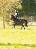DSC00150 DSC00150