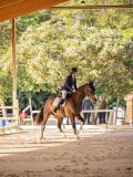 IMG_8100 IMG_8100