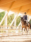 IMG_8104 IMG_8104