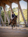 IMG_8114 IMG_8114