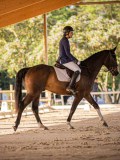 IMG_8128 IMG_8128