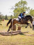 IMG_9464 IMG_9464