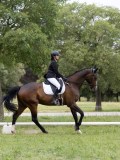IMG_0718 IMG_0718