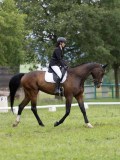 IMG_0721 IMG_0721