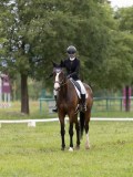 IMG_0727 IMG_0727