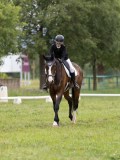 IMG_0728 IMG_0728
