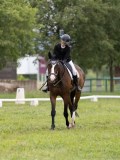 IMG_0729 IMG_0729