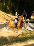 DSC00029 DSC00029