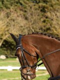 IMG_1828
