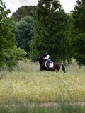 IMG_3517