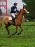 IMG_0435 IMG_0435