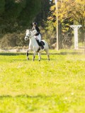 DSC00193 DSC00193