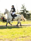 DSC00195 DSC00195