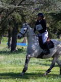 IMG_1764 IMG_1764