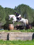 IMG_1773 IMG_1773