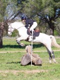 IMG_1777 IMG_1777