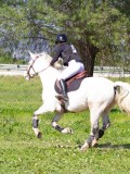IMG_1785 IMG_1785