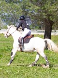 IMG_1786 IMG_1786