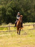 DSC03838 DSC03838