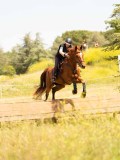 DSC03849 DSC03849