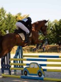 DSC09675 DSC09675