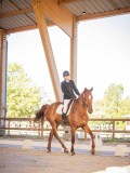 IMG_8200 IMG_8200