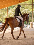 IMG_8203 IMG_8203