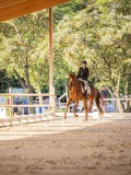 IMG_8206 IMG_8206