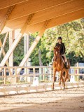 IMG_8210 IMG_8210