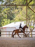 IMG_8218 IMG_8218