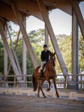 IMG_8220 IMG_8220