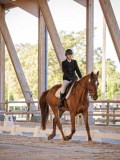 IMG_8230 IMG_8230