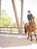 IMG_8232 IMG_8232