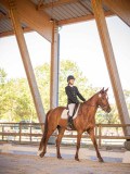 IMG_8236 IMG_8236