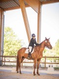 IMG_8240 IMG_8240